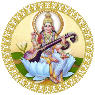 Mcl - Location IB Sports Academy